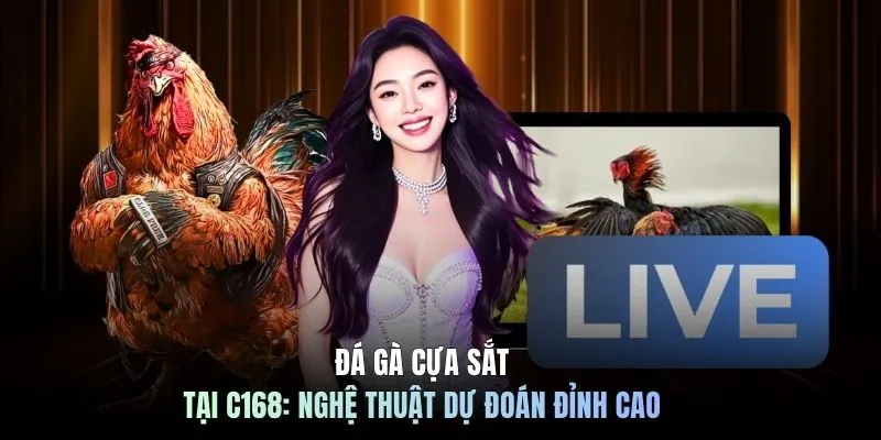 Đá Gà Cựa Sắt Tại C168: Nghệ thuật Dự Đoán Đỉnh Cao