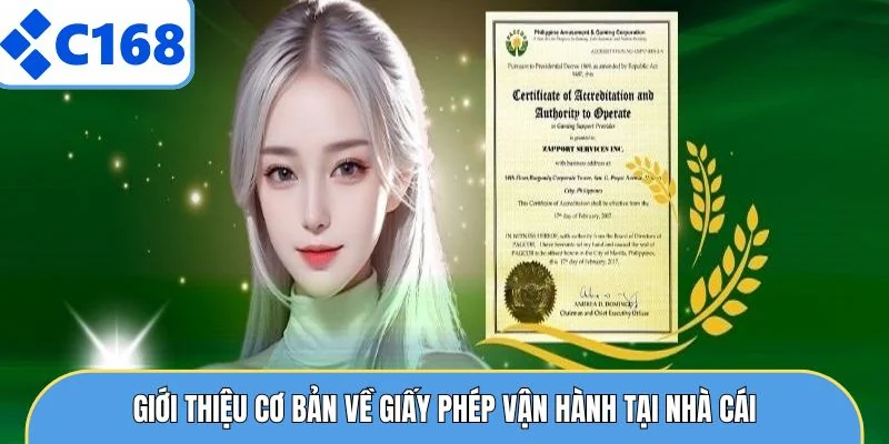 Giới thiệu cơ bản về giấy phép vận hành tại nhà cái