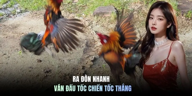 Ra đòn nhanh ván đấu tốc chiến tốc thắng