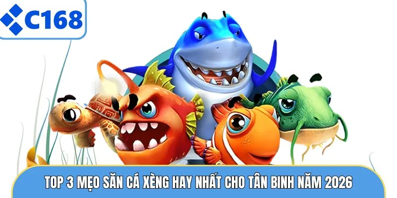Top 3 mẹo săn cá xèng hay nhất cho tân binh năm 2026